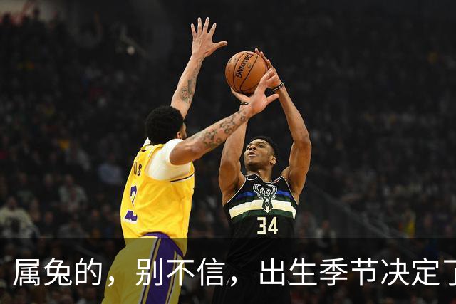 属兔的，别不信，出生季节决定了你是“伺候人”还是“被人伺候”