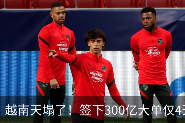 越南天塌了！签下300亿大单仅4天，中国新出一项公告，项目或流产